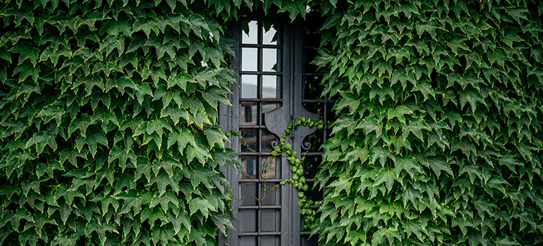 Garden Gate Repair in Bay Point, CA