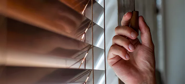 Double Roller Blinds in Bay Point, CA