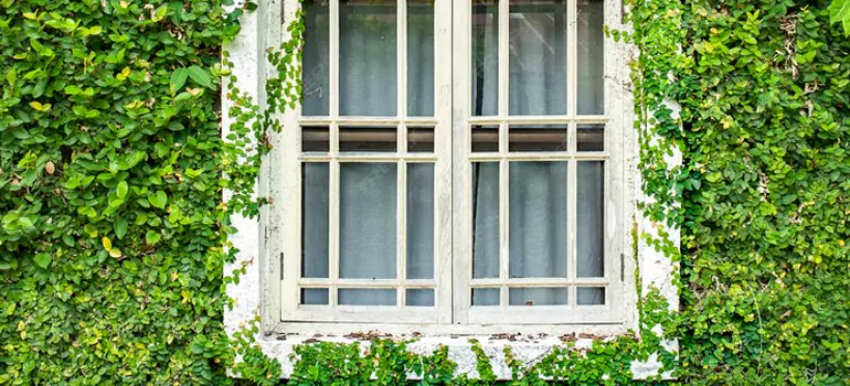 Garden Window Repair Near Me in Bay Point, CA