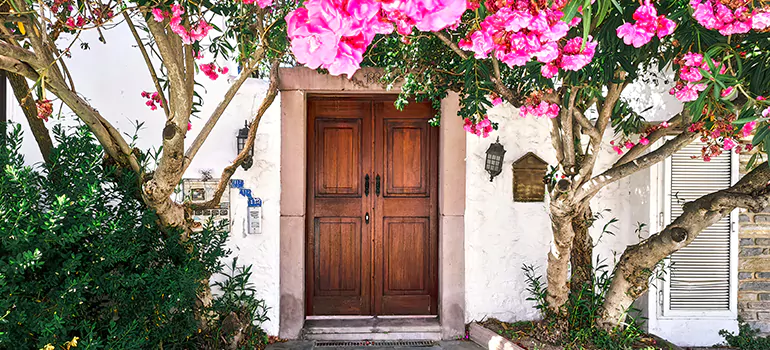 Traditional 4 Panel Internal Doors in Bay Point, CA