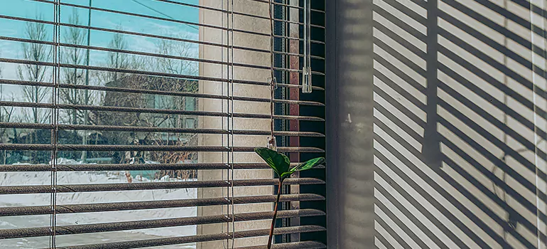 Commercial Window Blinds in Bay Point, CA