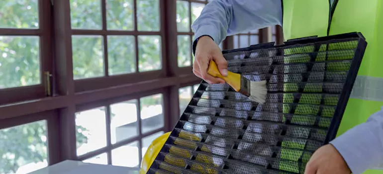 Traditional Window Grille Installation Options in Bay Point, CA