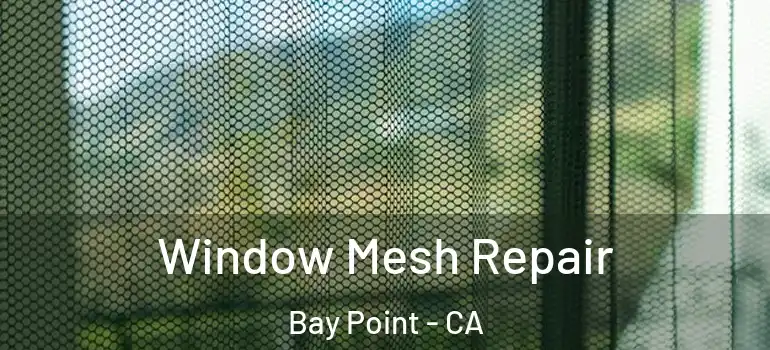  Window Mesh Repair Bay Point - CA