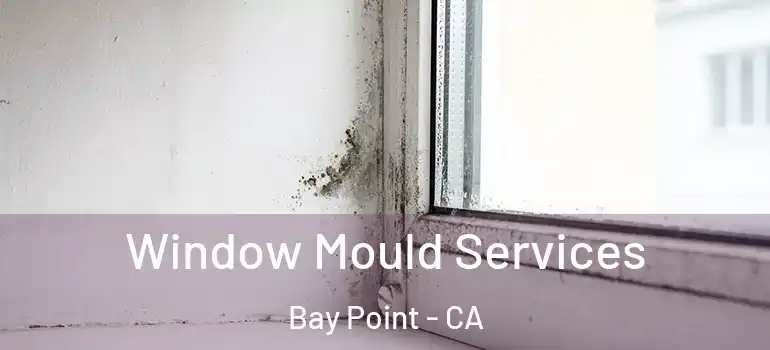  Window Mould Services Bay Point - CA